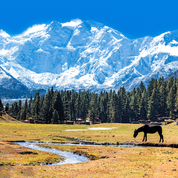 Mount Nanga Parbat